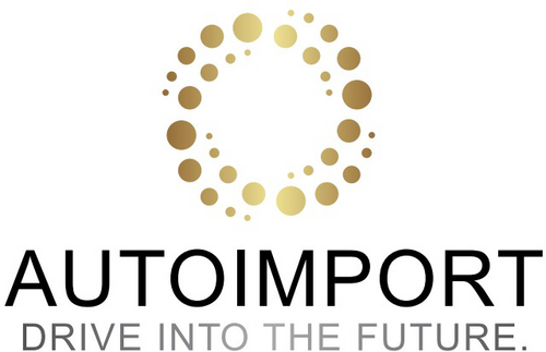 Auto Import Uy